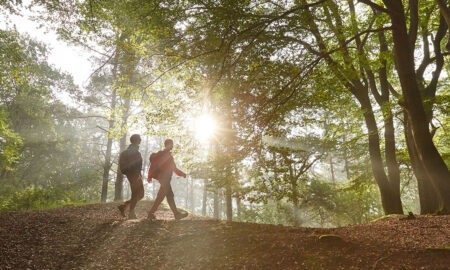 Naturpark Hümmling: Tinner Loh bei Haren (Ems) – Wanderer unterwegs im Wald