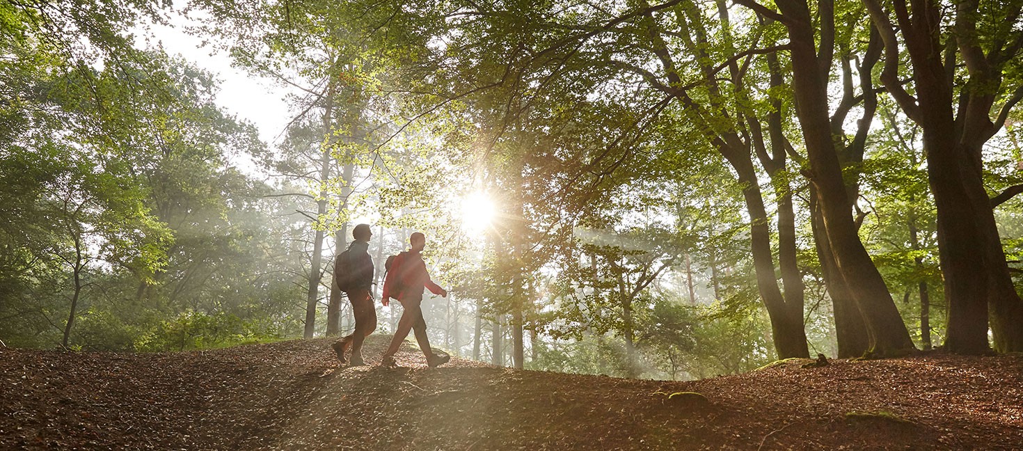 Naturpark Hümmling: Tinner Loh bei Haren (Ems) – Wanderer unterwegs im Wald