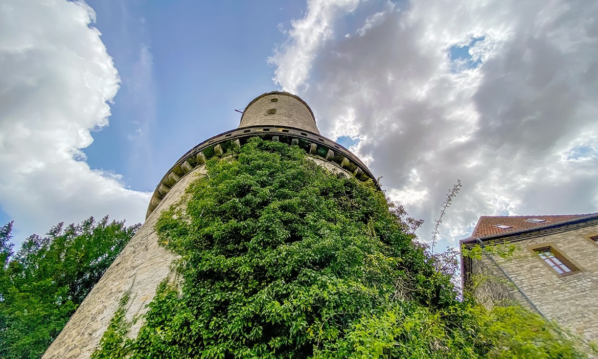 Der Turm der Sparrenburg Bielefeld von unten, mit Grün bewachsen