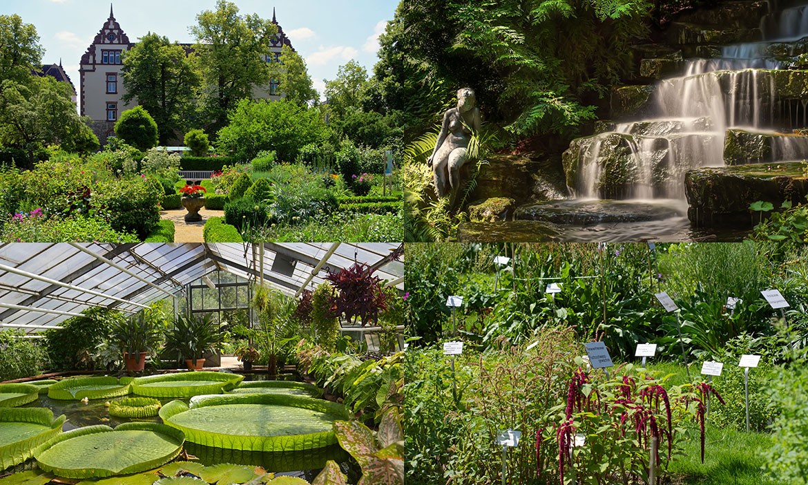 Botanischer Garten Braunschweig: Garten, Wasserfall, Tropenhaus, Beschilderung