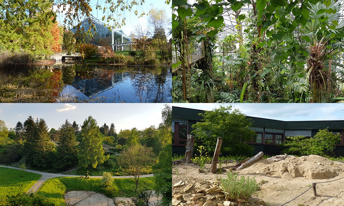 Botanischer Garten Osnabrück: Regenwaldhaus außen, Regenwaldhaus innen, Alpinum, Sandarium