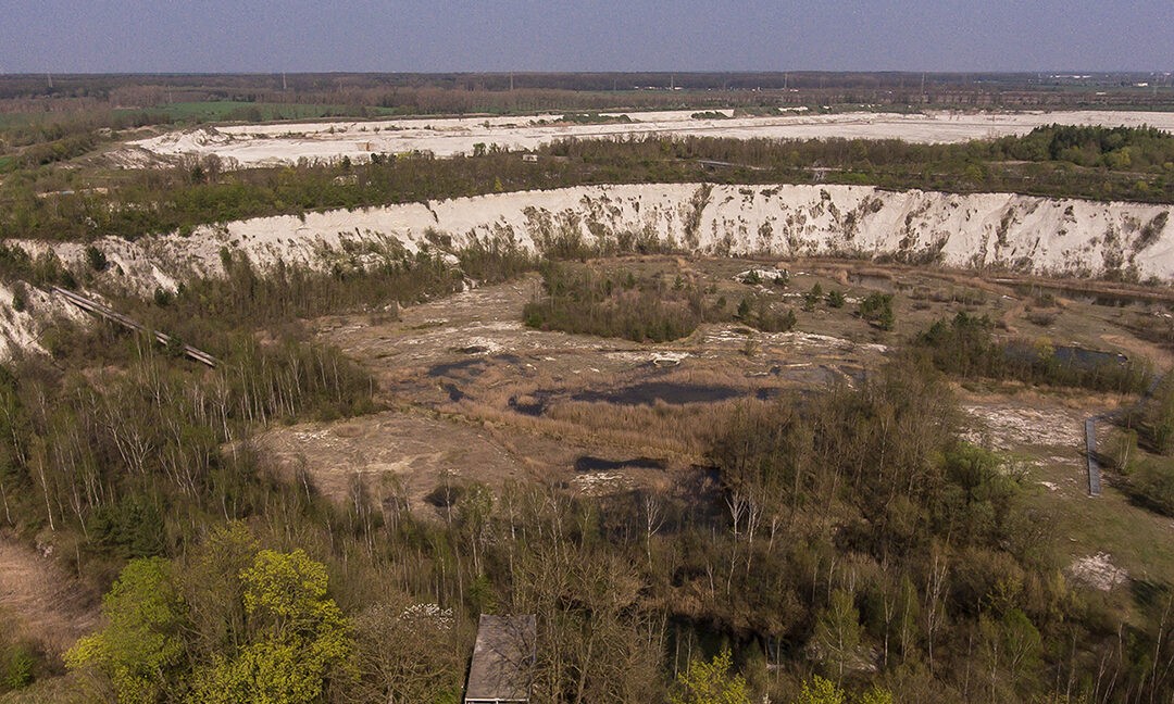 Die Mergelgrube im Gebiet Natura 2000 auf dem Natura Trail Hannover