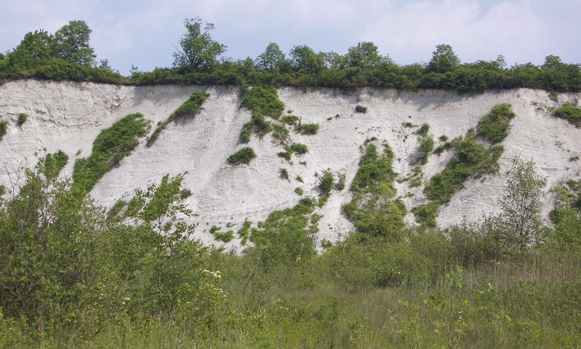 Nahaufnahme der Mergelgrube im Gebiet Natura 2000 auf dem Natura Trail Hannover