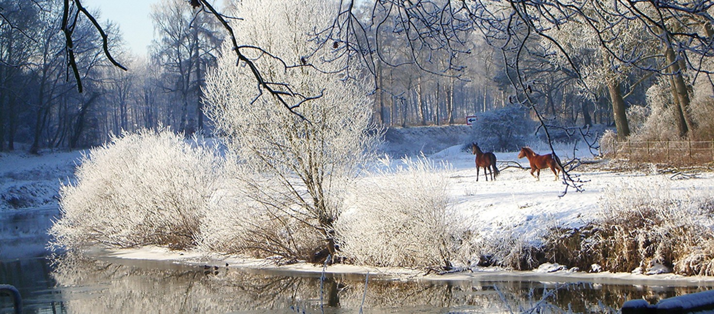 Winterlandschaft an der Ems mit Pferden