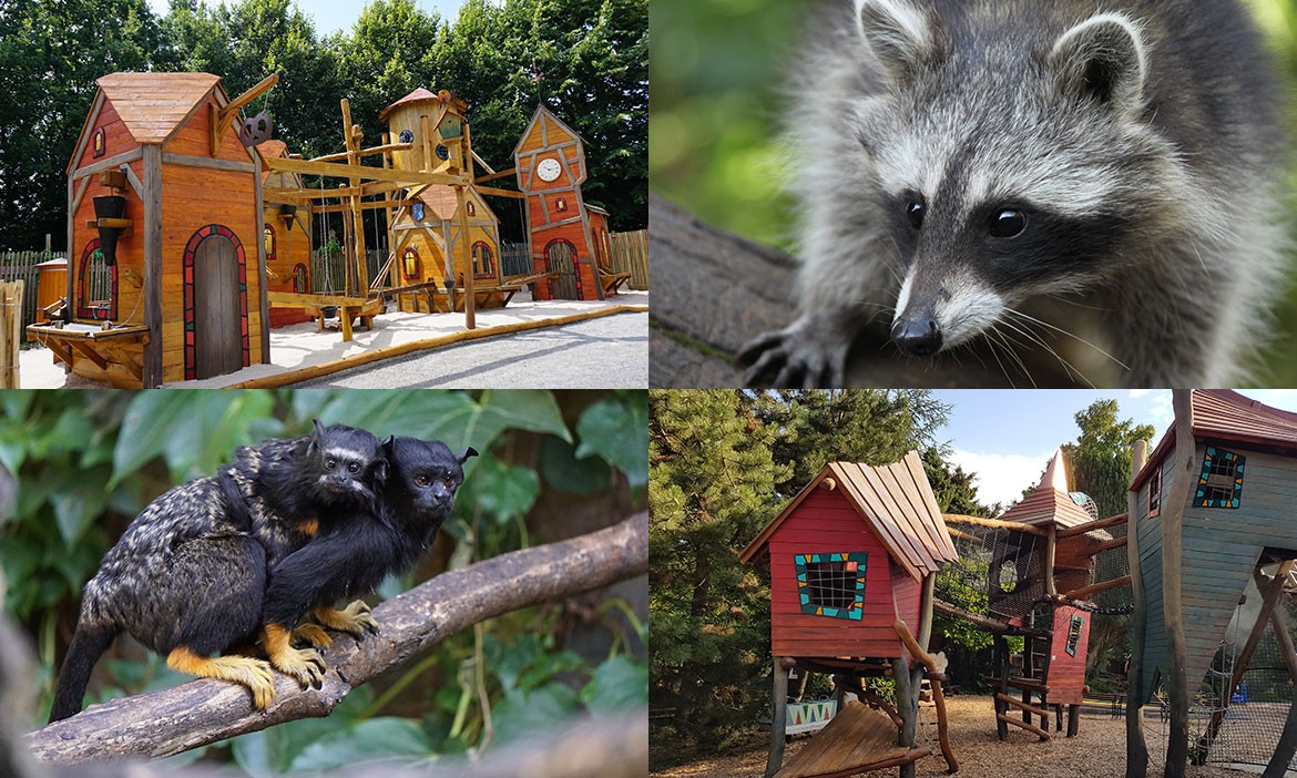 Zoo-Tipps: verschiedene Tiere im Zoo Braunschweig