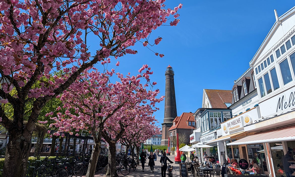 Shopping Borkum: blühende Bäume und blauer Himmel