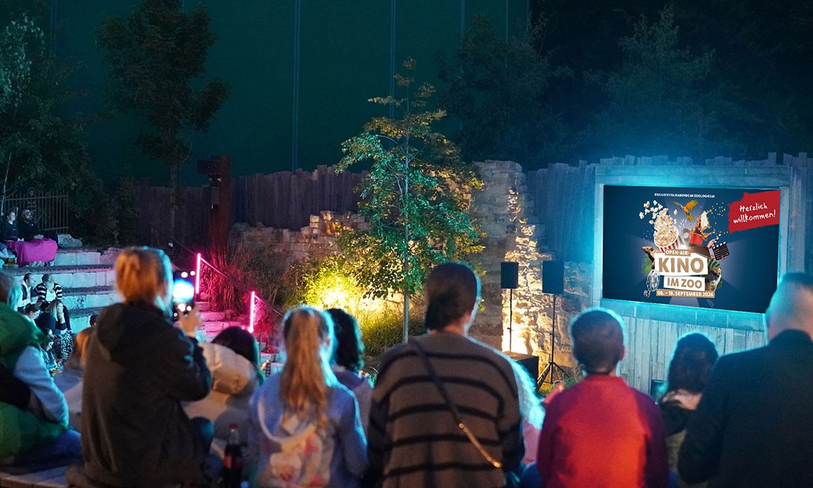 Open-Air-Kino im Zoo Hannover bei Dunkelheit. Besucherinnen und Besucher sitzen und stehen vor einer Leinwand, auf der „Open-Air Kino im Zoo“ zu lesen ist. Die Umgebung ist mit bunten Lichtern beleuchtet, im Hintergrund sind Felsen, Pflanzen und eine erhöhte Zuschauertribüne zu sehen.