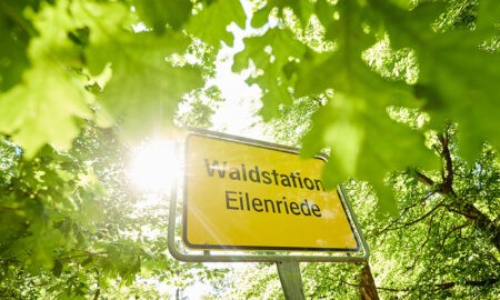 Eilenriede Hannover: Hinweisschild zur Waldstation