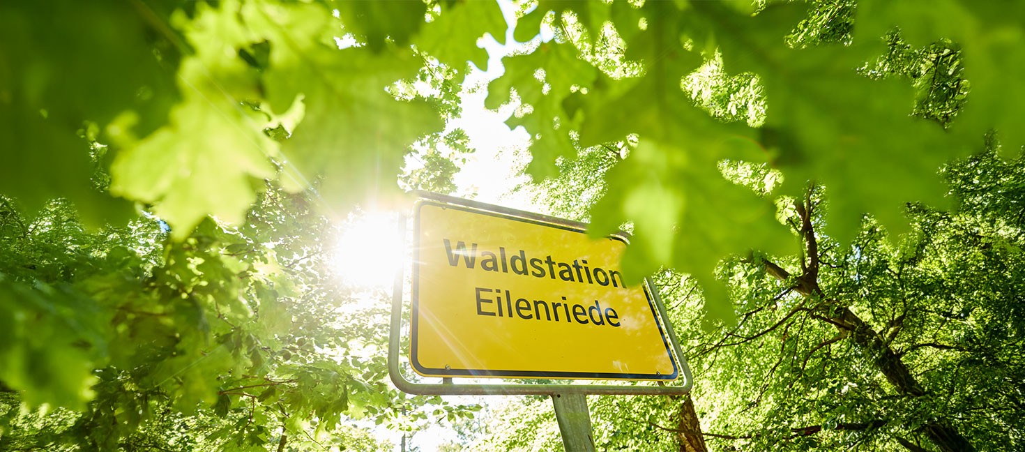 Eilenriede Hannover: Hinweisschild zur Waldstation