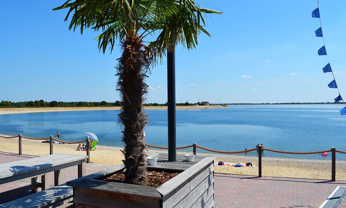 Blick von einer Terrasse auf den hellen Sandstrand und das ruhige Wasser des Speichersees Geeste. Im Vordergrund steht eine Palme in einem Pflanzkübel, dahinter liegen einzelne Badegäste am Ufer. Die Szene wirkt fast mediterran.